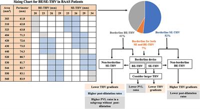 Impact of Valve Size on Paravalvular Leak and Valve Hemodynamics in Patients With Borderline Size Aortic Valve Annulus